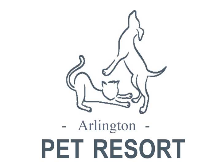 Arlington Pet Resort | Dog & Cat Boarding