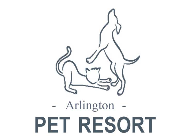 Arlington Pet Resort Dog Cat Boarding